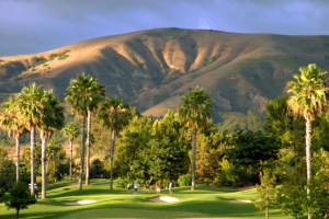 Course Overview - Tustin Ranch Golf Club
