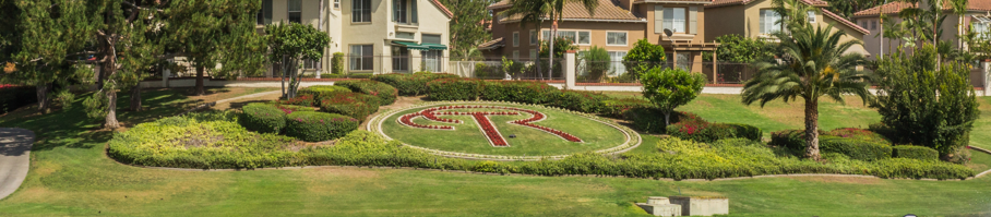 Image of golf ball on tee on grass.